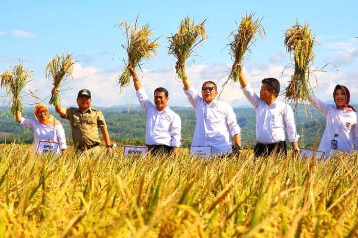 Surveilans AI Kab. Gianyar