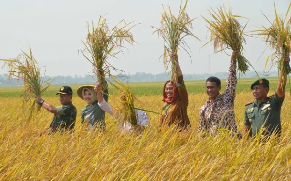 Surveilans BSE Kab. Badung